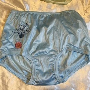 2pc Vintage Annie rose l nylon embroidered briefs. Rare